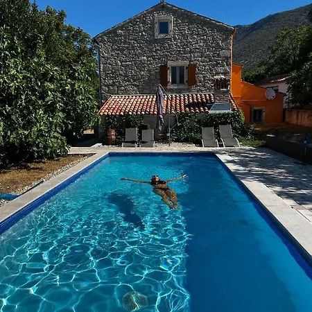 Kozljak, For 10 People, Pool Holiday home Kozljak